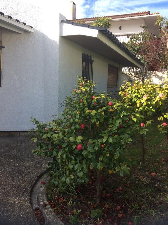 Villa Casa Dos Oliva Alcobaça Exterior foto